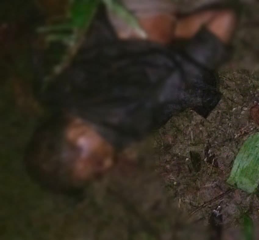 বরিশালে স্বেচ্ছাসেবক দল নেতাকে পিটিয়ে হত্যা