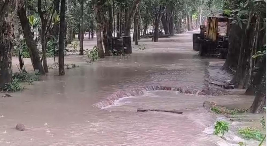 বাউফলে পানিবন্দি ২০ গ্রামের মানুষ