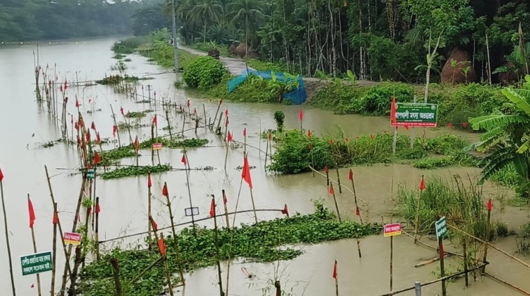 বরগুনায় মা মাছ রক্ষায় অভয়াশ্রম, বেড়েছে দেশীয় মাছ