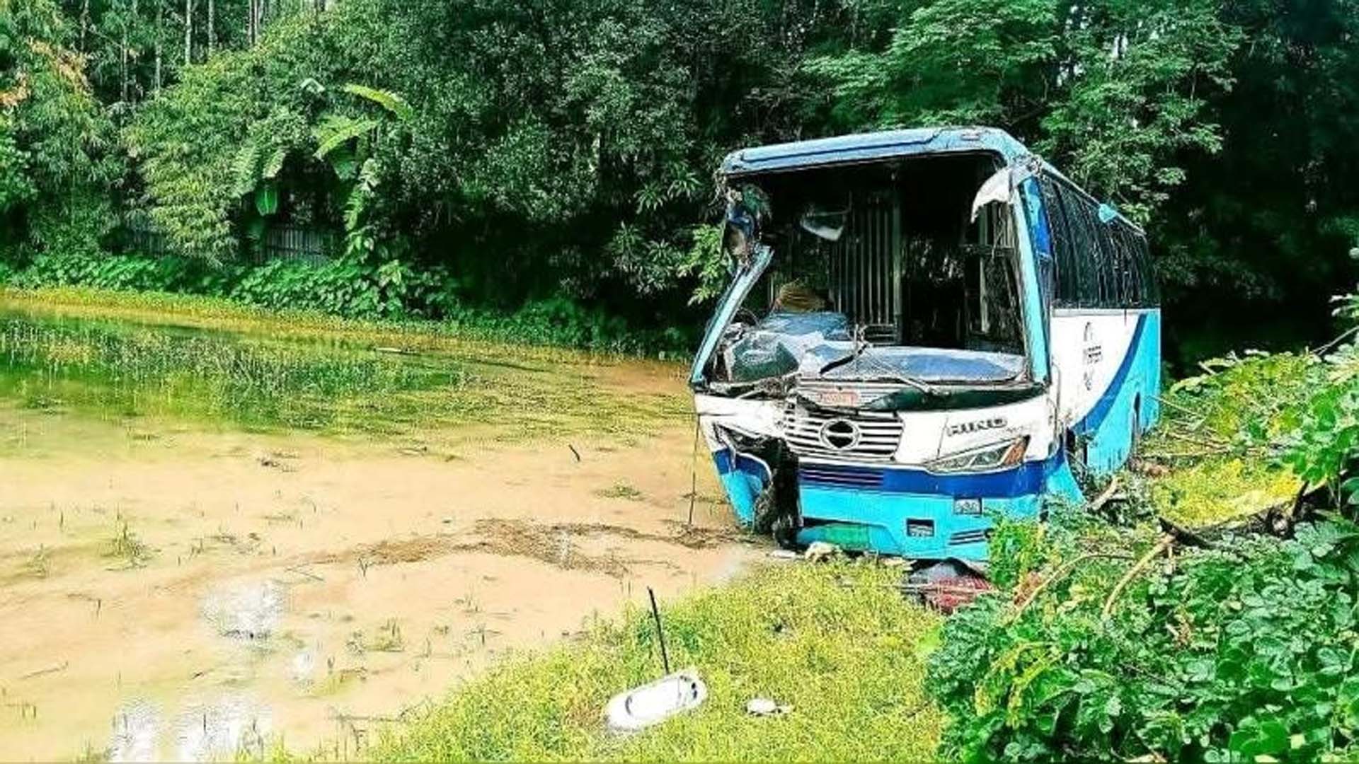 ঘুমে ঢুলে পড়া চালকের গাড়ি সোজা বিলে, আহত ২০ যাত্রী