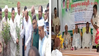বরিশাল দক্ষিণ জেলা বিএনপির উদ্যোগে বৃক্ষরোপণ কর্মসূচি-এ্যাডঃআবুল কালাম শাহিন
