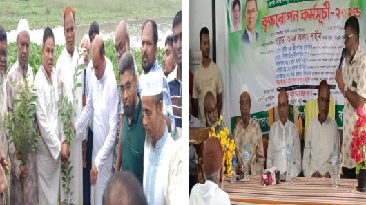 বরিশাল দক্ষিণ জেলা বিএনপির উদ্যোগে বৃক্ষরোপণ কর্মসূচি-এ্যাডঃআবুল কালাম শাহিন