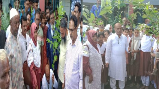 চরবাড়িয়া ইউনিয়নে দক্ষিণ জেলা বিএনপির উদ্যোগে বৃক্ষরোপণ কর্মসূচি ,এ্যাডঃআবুল কালাম শাহিন