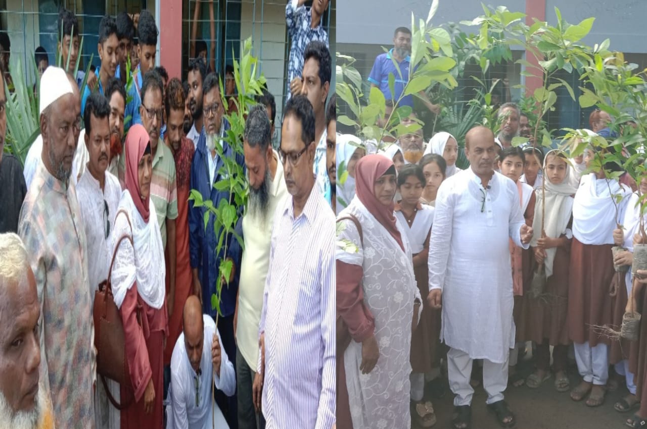 চরবাড়িয়া ইউনিয়নে দক্ষিণ জেলা বিএনপির উদ্যোগে বৃক্ষরোপণ কর্মসূচি ,এ্যাডঃআবুল কালাম শাহিন