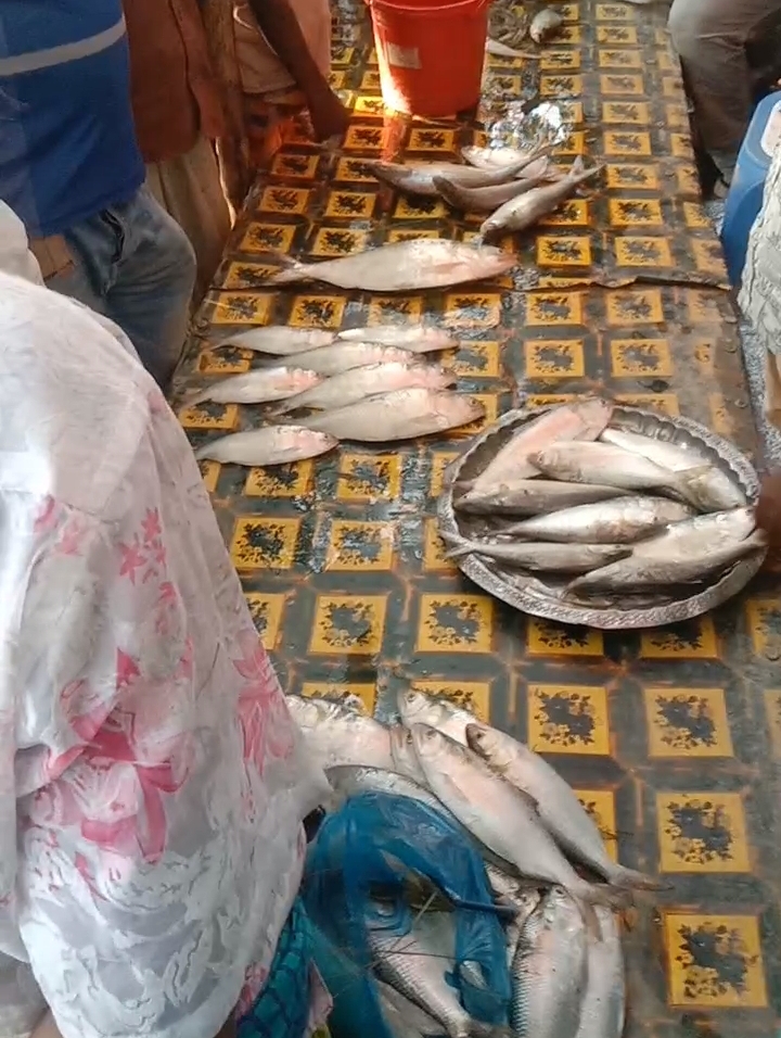 বরিশালের কীর্তনখোলা নদীতে ঝাটকা ইলিশের চাহিদা বেড়েছে