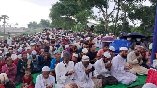 ইলিশের জন্য মেঘনার তীরে বিশেষ দোয়া, অংশ নিলেন ৬০ জন আলেম