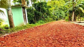বরিশালে নিম্নমানের ইট দিয়ে সড়ক সংস্কার, বাধার মুখে কাজ বন্ধ করল এলজিইডি
