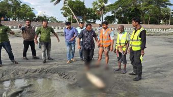 ফের কুয়াকাটা সৈকতে ভেসে এলো মৃত ইরাবতী ডলফিন