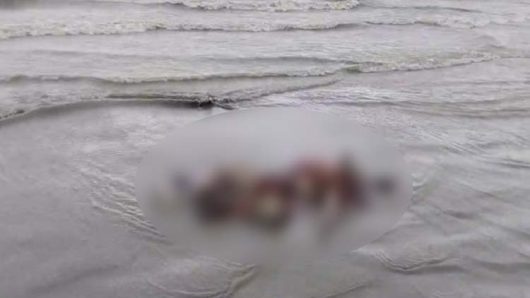 কুয়াকাটা সৈকত থেকে লাল কম্বল মোঁড়ানো অজ্ঞাত ব্যক্তির মরদেহ উদ্ধার