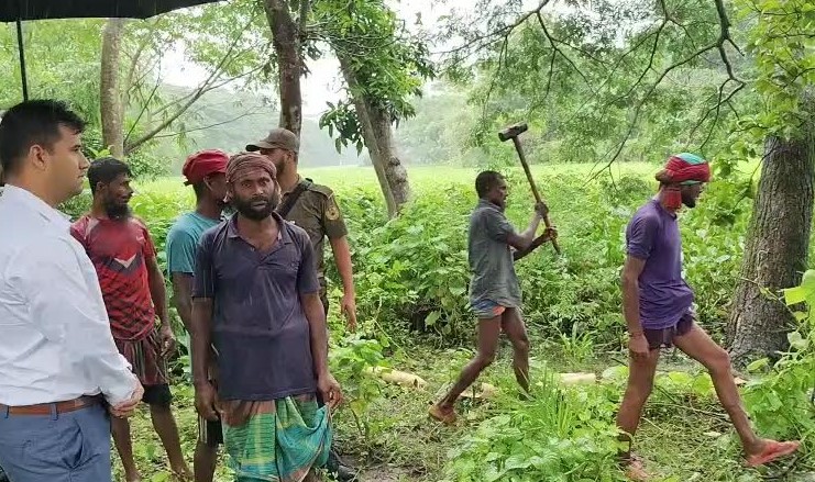 কলাপাড়ায় অবৈধ বালু উত্তোলনের বিরুদ্ধে অভিযান, জরিমানা ও কারাদণ্ড