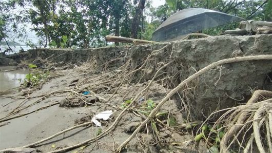 ঝালকাঠিতে সুগন্ধার ভয়াবহ ভাঙনে বসতবাড়ি হারাচ্ছে মানুষ