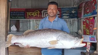 কুয়াকাটায় ৩৬ হাজারে বিক্রি ২৪ কেজির কোরাল