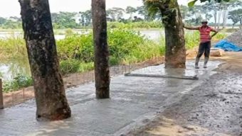 সড়কের মাঝখানে গাছ রেখেই ঢালাই সম্পন্ন