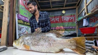 কুয়াকাটায় ২১ কেজির কোরাল, বিক্রি হলো ৩৫ হাজারে
