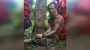 বাউফলে গাছে বেঁধে মধ্যযুগীয় কায়দায় ফেরিওয়ালাকে নির্যাতন