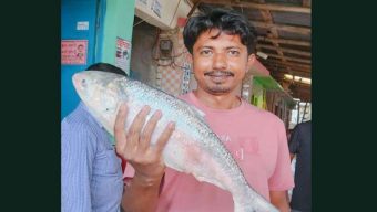 বঙ্গোপসাগরের এক ইলিশ বিক্রি ৬ হাজার টাকায়