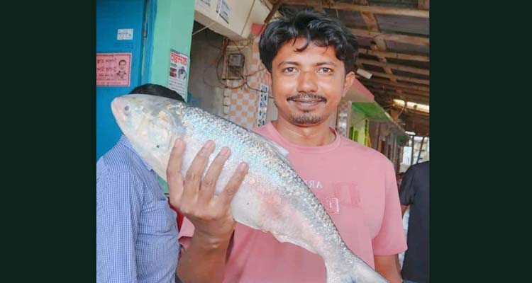 বঙ্গোপসাগরের এক ইলিশ বিক্রি ৬ হাজার টাকায়