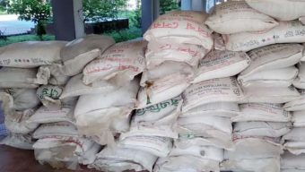 তজুমদ্দিনে পাচারকালে ৫৫ বস্তা টিএসপি সার জব্দ