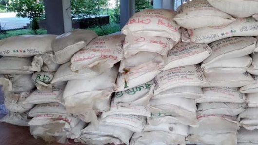 তজুমদ্দিনে পাচারকালে ৫৫ বস্তা টিএসপি সার জব্দ