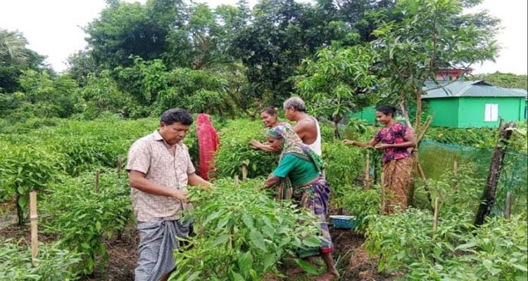 তালতলীতে পিছিয়ে পড়া জনগোষ্ঠীদের আলোর মুখ দেখাচ্ছে ‘আরএসডিও’