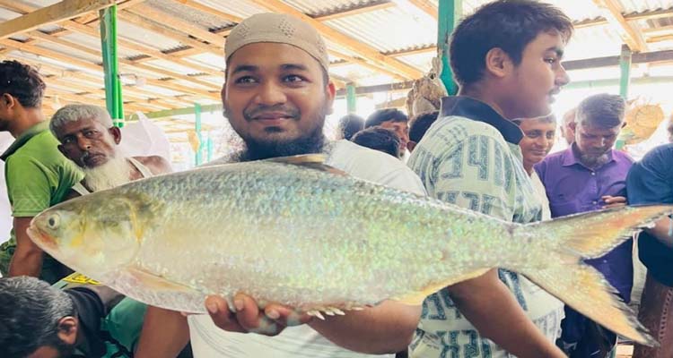 এক ইলিশ বিক্রি ১৪ হাজার টাকায়