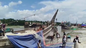 ইলিশ ধরায় নিষেধাজ্ঞার খবরে উপকূলে অস্থিরতা