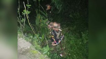 মন্দিরে প্রতিমা ভাঙচুর, যুবক গ্রেপ্তার
