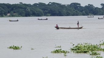 দুমকিতে নিষেধাজ্ঞা অমান্য করে ইলিশ প্রজনন মৌসুমে নদীজুড়ে চলছে মা ইলিশ নিধন