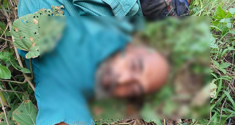বাবুগঞ্জে সড়কের পাশ থেকে অজ্ঞাত ব্যক্তির লাশ উদ্ধার