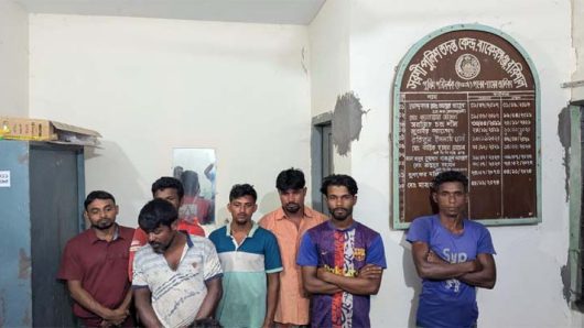 বাকেরগঞ্জে প্রজনন মৌসুমে ইলিশ শিকার : ৭ জেলের কারাদণ্ড