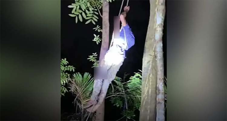 পটুয়াখালীতে শিশুকে হত্যার পর ৭০ ফুট গাছের ওপর ওঠেও রক্ষা পেল না যুবক