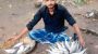 নিষেধাজ্ঞা সত্ত্বেও বাকেরগঞ্জে প্রকাশ্যে বিক্রি হচ্ছে ইলিশ