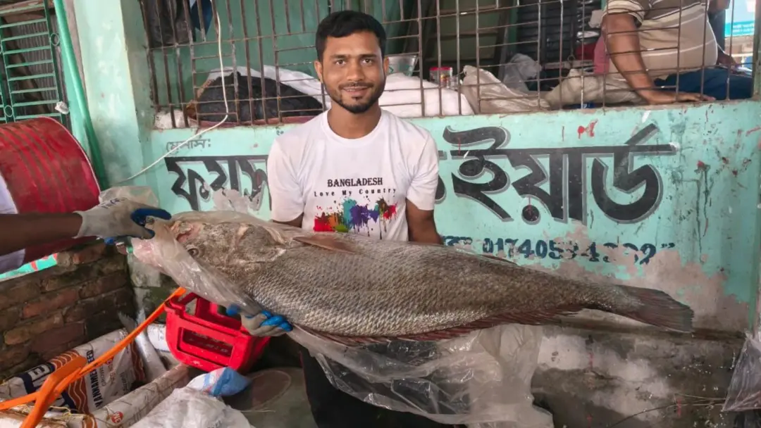 পটুয়াখালীর জেলের জালে ধরা পড়লো ২১ কেজির ‘ব্ল্যাক ডায়মন্ড’