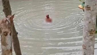 ঝালকাঠিতে ৫০০ টাকা বাজি ধরে খালে ১০০ ডুব দিয়ে কৃষকের মৃৃত্যু