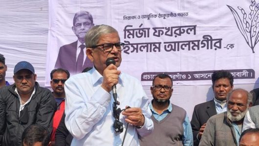 দেশে উদারপন্থী গণতন্ত্র চাই: মির্জা ফখরুল