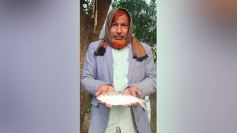 পুকুরে মিলল রুপালি ইলিশ