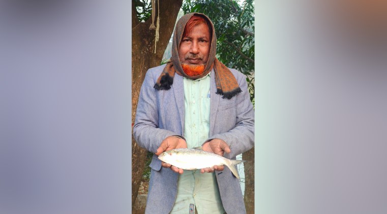পুকুরে মিলল রুপালি ইলিশ