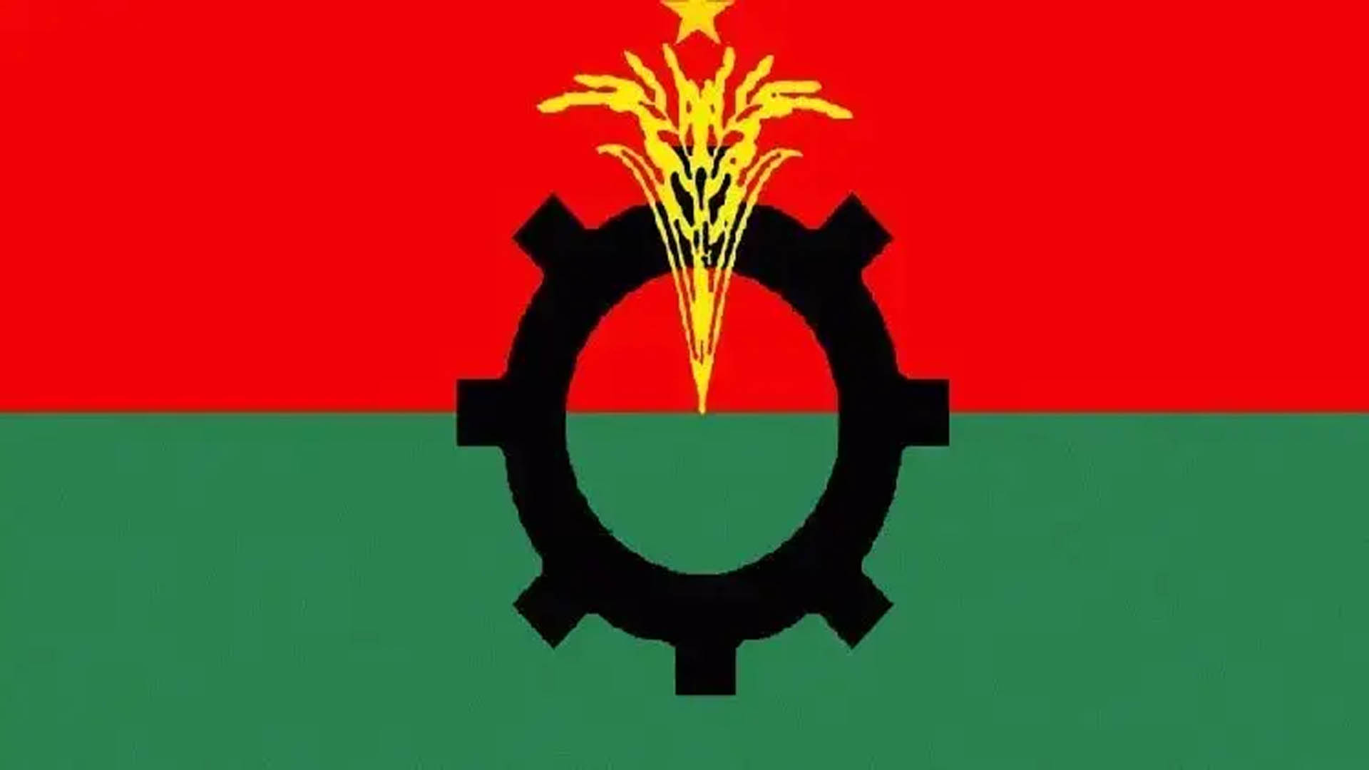পটুয়াখালীর দশমিনা ও গলাচিপা উপজেলা বিএনপির কমিটি বিলুপ্ত
