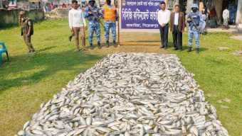 পিরোজপুরে ১০ মণ জাটকাসহ দুটি ট্রলার জব্দ, ৩ জেলের কারাদণ্ড