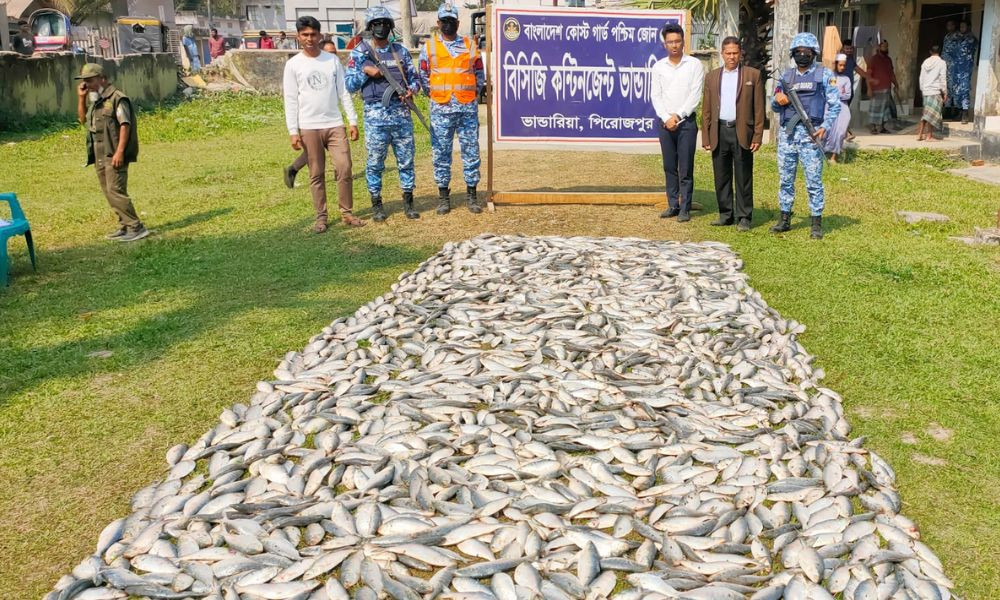 পিরোজপুরে ১০ মণ জাটকাসহ দুটি ট্রলার জব্দ, ৩ জেলের কারাদণ্ড