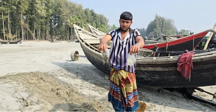 কুয়াকাটা সৈকতে ভেসে আসছে হাজার মৃত জেলিফিশ, মাছ ধরা বন্ধ