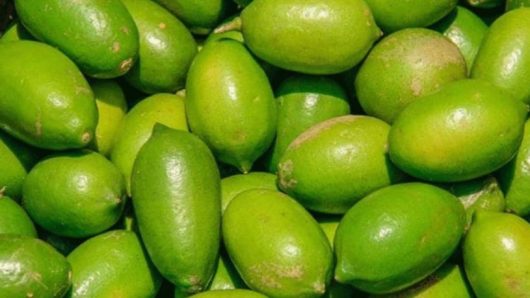 লেবুর হালি ২০০ টাকা