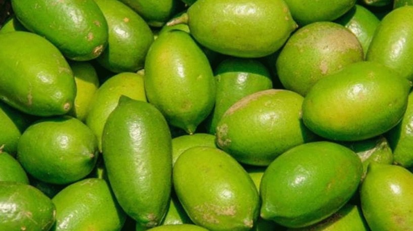 লেবুর হালি ২০০ টাকা