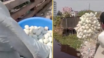 প্লাস্টিকের ডিম বিক্রির অভিযোগে বিক্রেতা আটক, ডিম নষ্ট