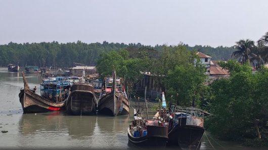 জলদস্যু আতঙ্কে থমকে আছে পাথরঘাটার মৎস্য খাত: মুক্তিপণ দিয়ে ফিরছেন জেলেরা