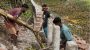 সড়ক নির্মাণে রডের পরিবর্তে ব্যবহার হচ্ছে কলাগাছ!
