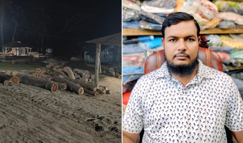 সরকারি গাছ কেটে বিক্রির অভিযোগে শ্রমিক দল নেতার বিরুদ্ধে মামলা