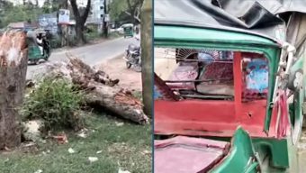চলন্ত অটোরিকশার ওপর গাছ পড়ে নারীর মৃত্যু, হাসপাতালে স্বামী