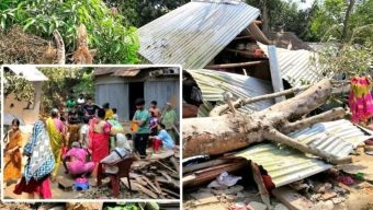 কালবৈশাখী ঝড়ে গাছচাপায় নারীর মৃত্যু