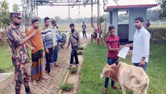 ঈদ সামনে রেখে সীমান্তে সক্রিয় গরু চোরাকারবারিরা